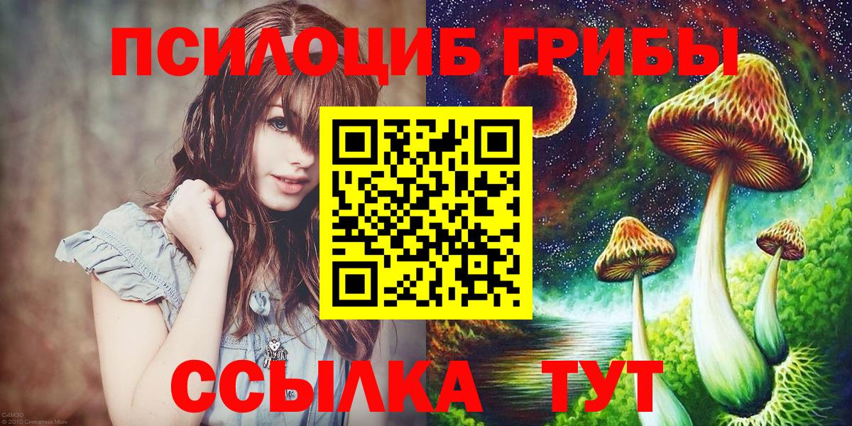 Кольчугино  купить закладку  Вход с VPN  Псилоцибиновые грибы GOLDEN TEACHER 