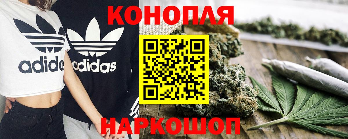 Канабис сатива  Вход с VPN  Кольчугино  Канабис планчик 